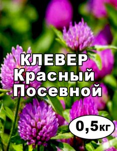 Насіння Клевер червоний промагнічений пакет 0,5 кг