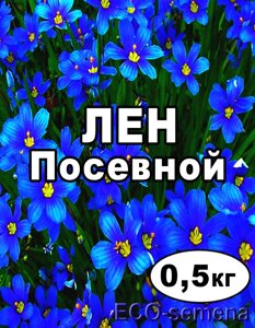 Насіння Льон олійний Кудряш світлий, 500 г пакет