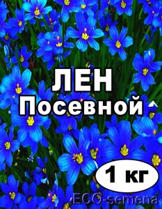 Насіння Льон олійний Кудряш світлий, від 1 кг на вагу