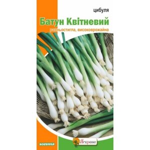 Насіння Цибуля Батун Квітневий Яскрава 1 г