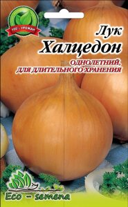 Насіння Цибулю Халцедон однорічний, 1 кг