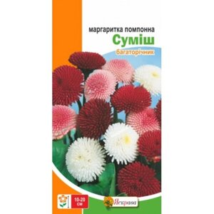 Насіння Маргаритка Помпонна суміш Яскрава 0,1 г