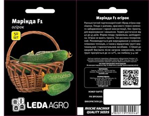 Насіння огірок Марінда F1, Leda Agro (50 шт.)