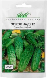 Насіння огірок Надя F1 (для соління) Професійне насіння 20 шт