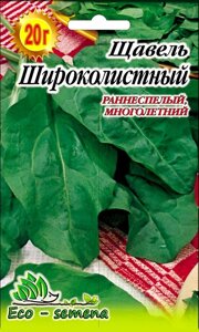 Насіння Щавель Широколистий, 20 г