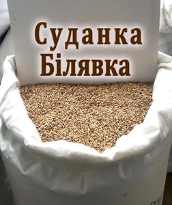 Насіння Суданської трави Білявка (суданка біла) від 1 кг