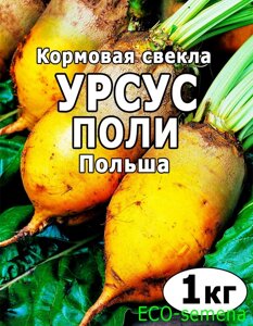 Насіння Буряк кормовий Урсус Полі Польща від 1 кг на вагу