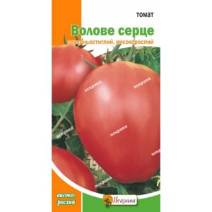 Насіння томат Волове серце Яскрава (Фасовка 0.1 г)
