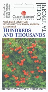 Насіння Томат Сотні та тисячі - чері (кімнатний) Сонячний березень 20 шт