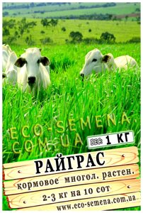 Насіння Трава Райграс сінокісну, багаторічний, посівної / на вагу 1 кг