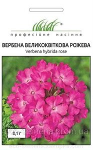 Насіння Вербена великоквіткова, Професійне насіння, Фасовка: 0.1 г)