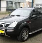 Пороги з аркушем (сайтом) на ssangyong rexton w uatuning