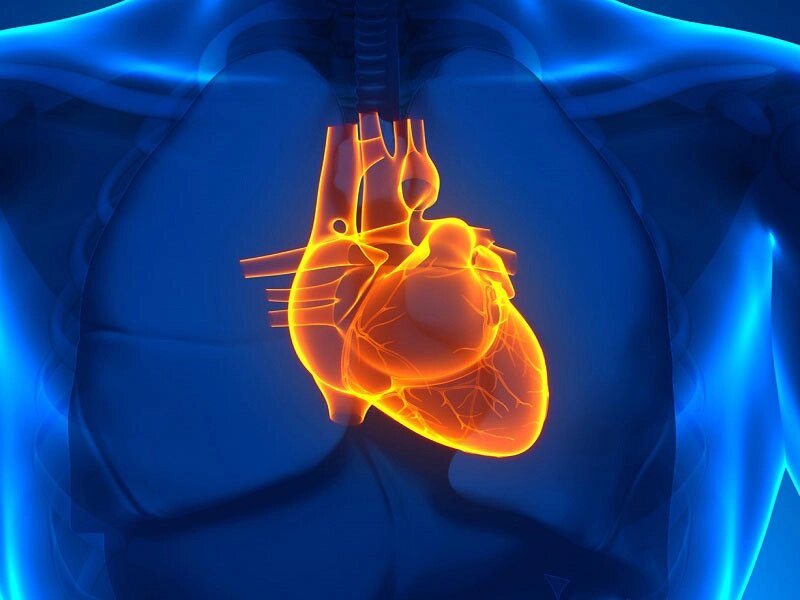 УЗД серця (ехокардіоскопія) від компанії МРТ КТ Хмельницький Ультрадіагностіка - фото 1