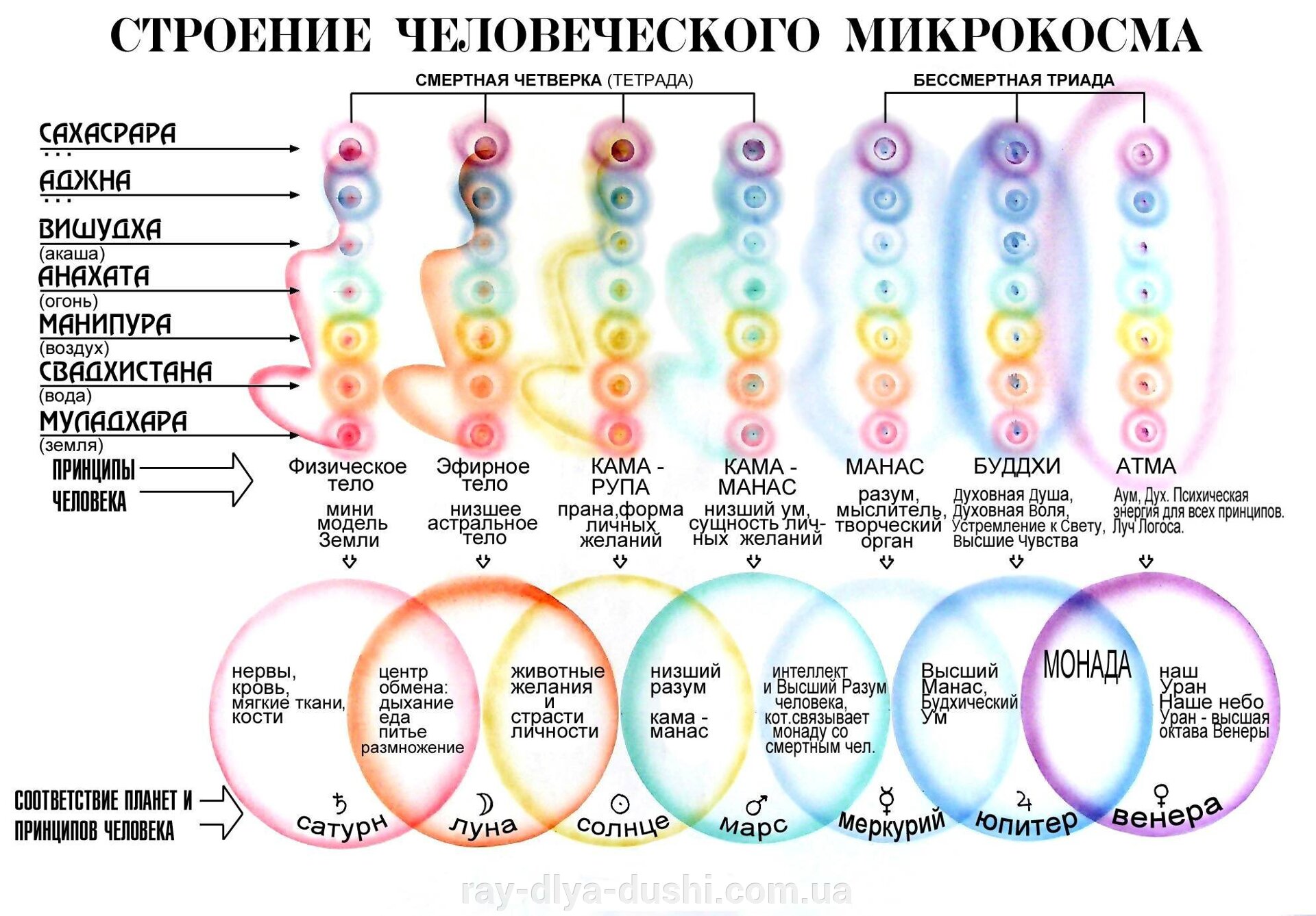 Чому ми носимо прикраси ? - фото pic_43c639cc18e90acec9fddfeac352803b_1920x9000_1.jpg