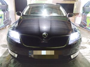 Зимова решітка (верхня) Глянцева для Skoda Rapid 2012-2024 рр