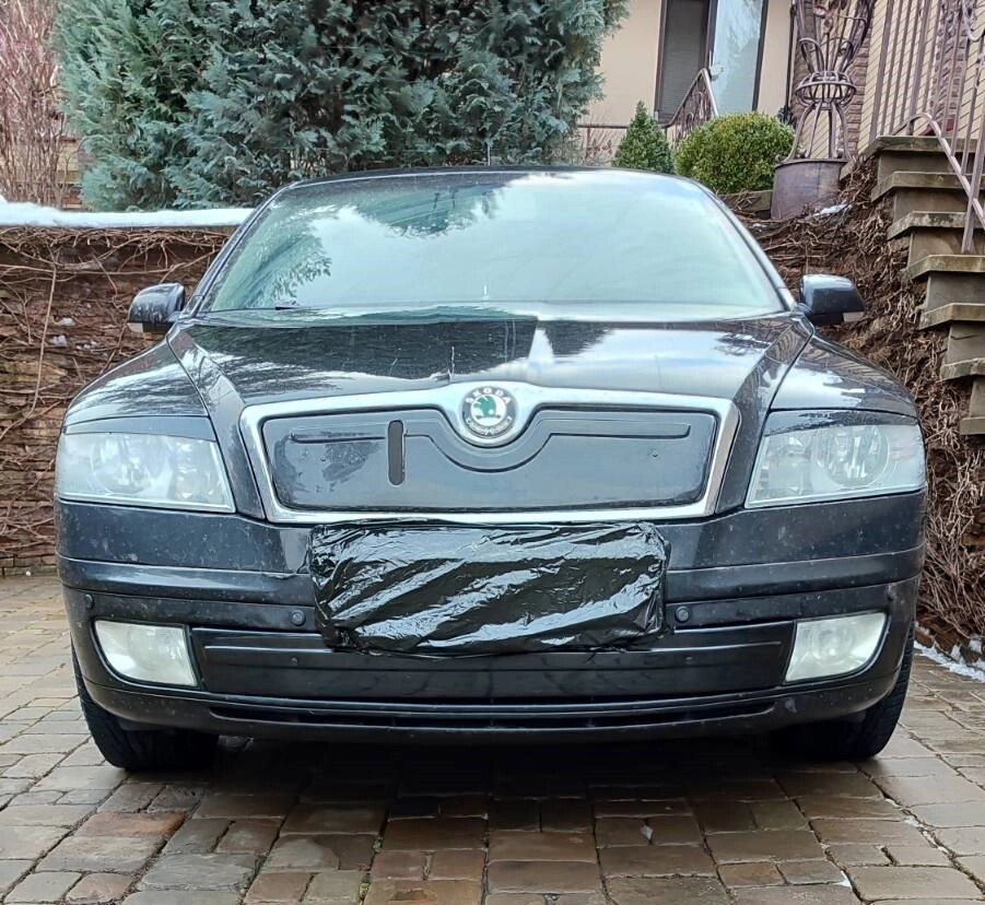 Зимова накладка на решітку (нижня) Глянцева для Skoda Octavia II A5 2006-2010рр від компанії Digital Designs Ukraine - фото 1