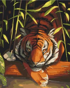 Картина за номерами Art Craft "Бенгальський тигр" 40х50 см 11618-AC