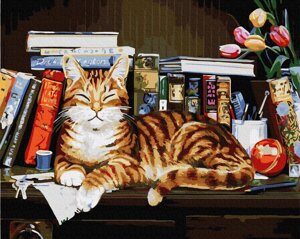 Картина за номерами BrushMe Кіт на книжковій полиці 40х50 см GX4142