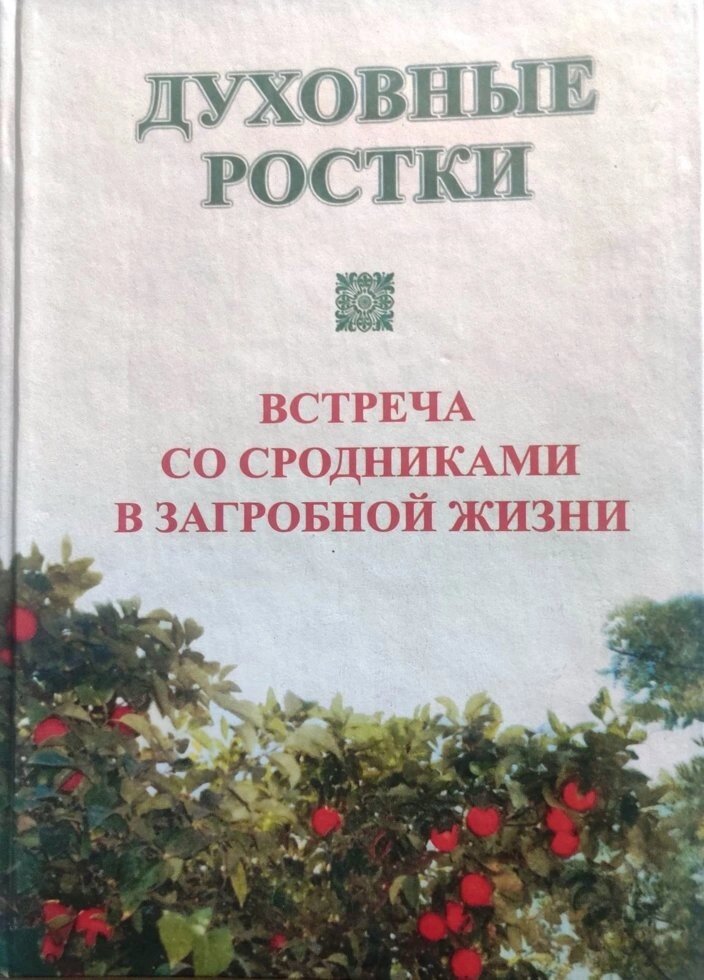 Духовні паростки. Зустріч з родичами в загробному житті від компанії Правлит - фото 1