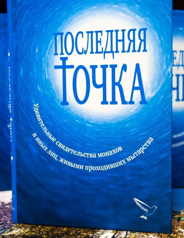 Остання точка. Дивовижні свідоцтва ченців та інших осіб, живими проходили митарства від компанії Правлит - фото 1