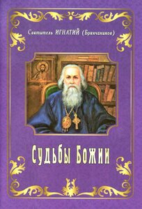 Судьбы Божии. Святитель Игнатий ( Брянчанинов) в Миколаївській області от компании Правлит