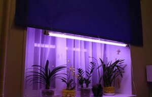 Світильник 2*36 Вт + лампа для рослин і акваріумів Osram Fluora 36 Вт фітолампа + лампа Osram 6500K