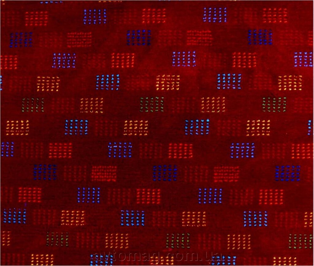 Автобусна велюрова тканина Неоплан на килимовій основі "Целоссія" бордова оригінальна від компанії Інтернет-магазин «Автомаг» - фото 1