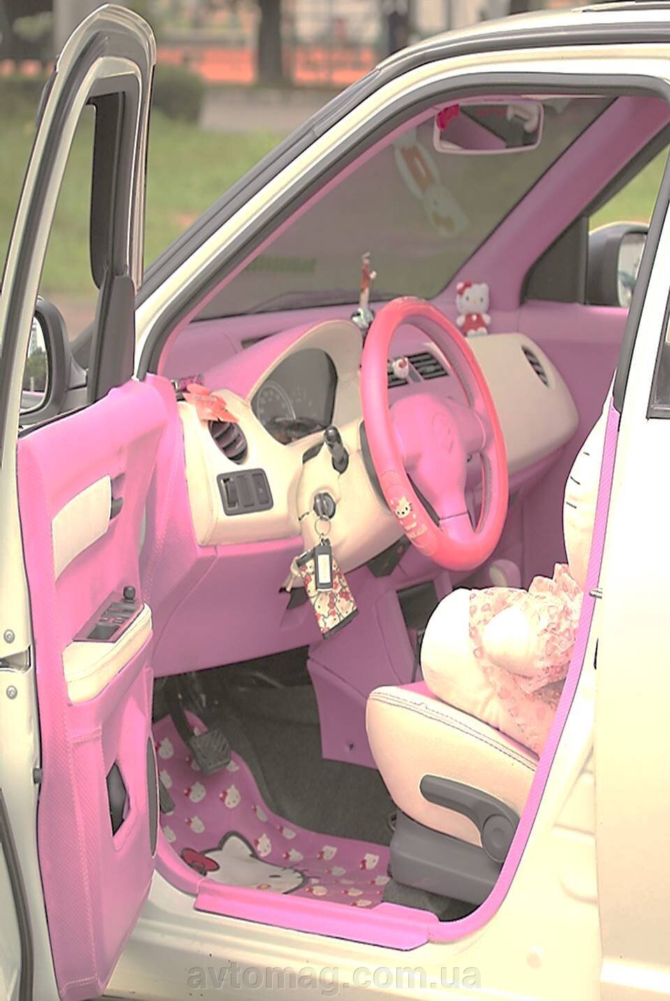 Панельна альантара для жіночого авто