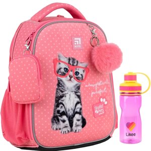 Рюкзак шкільний каркасний Kite Education Studio Pets SP24-555S-2