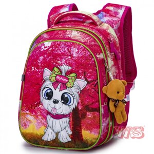 Шкільний рюкзак SkyName R1-025