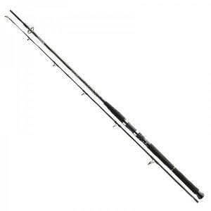 Спінінг Daiwa BG Boat 2.4m 150-400gr