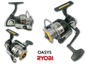 Ryobi Oasys.