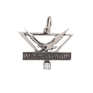 Кулон зі срібла Minima Veniam (візитна картка) DARIY 6114кул