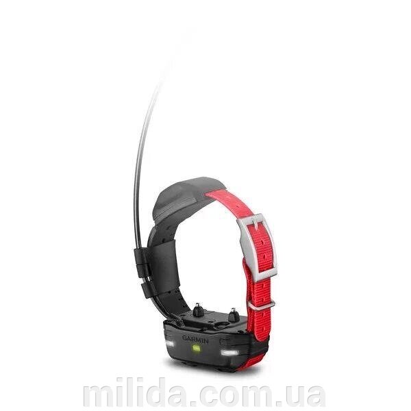 Нашийник для маленьких собак Garmin TT 15 mini від компанії інтернет-магазин "_Міліда_" - фото 1