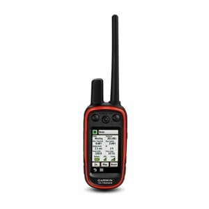 Alpha 100 з GPS-нашийником T 5 mini