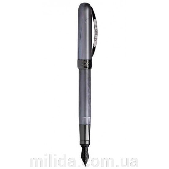 Ручка пір'яна Visconti 48209DA10BKF Rembrandt Grey Steel FP від компанії інтернет-магазин "_Міліда_" - фото 1