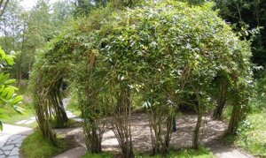 Садова альтанка з композитної арматури Polyarm