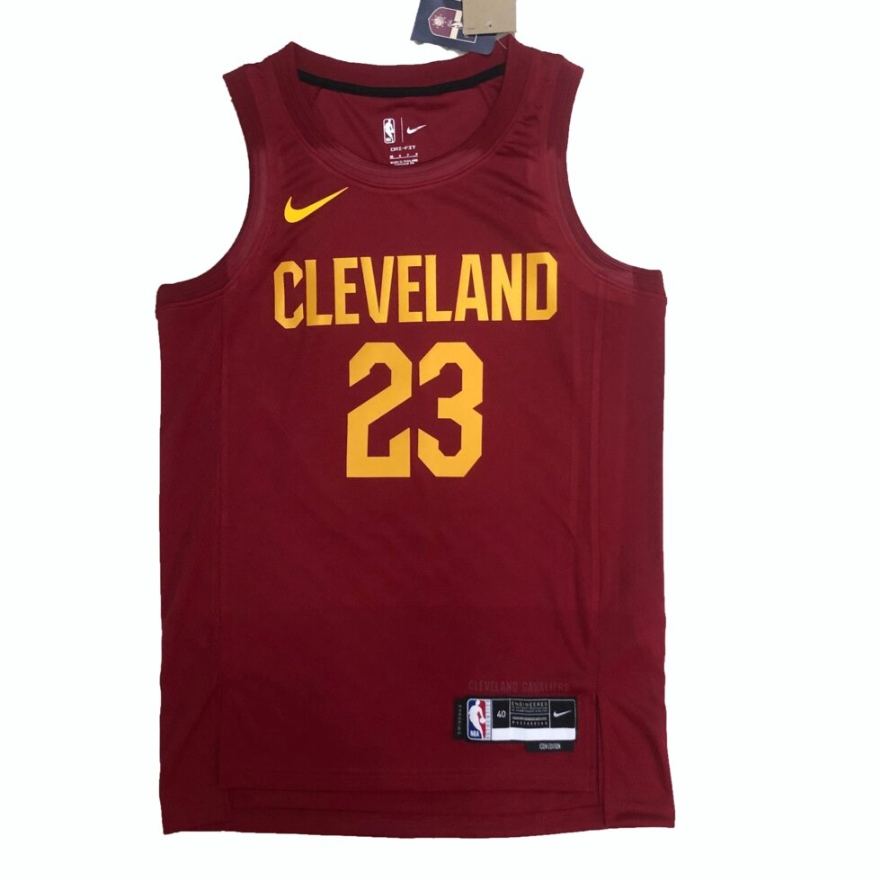 Баскетбольна джерси Nike NBA Cleveland Cavaliers №23 LeBron James Brown Print від компанії Basket Family - фото 1