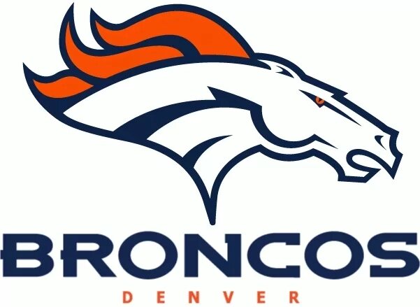 Футбольні снепбеки NFL Denver Broncos від компанії Basket Family - фото 1