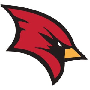 Футбольні бейсболки NFL Arizona Cardinals