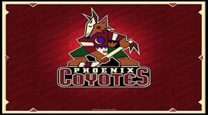 Футболки NHL Fanatics Arizona Coyotes burgundy