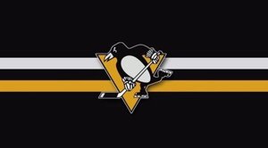 Футболки NHL Fanatics Pittsburgh Penguins