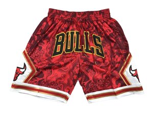 Шорти 2023 Chicago Bulls Just Don Red