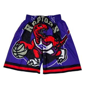 Шорти NBA Toronto Raptors Just Don фіолетові