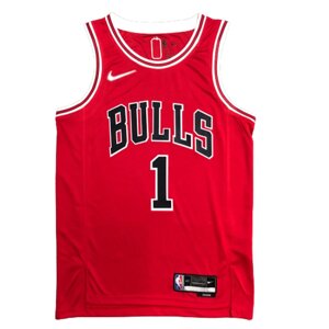 Баскетбольна форма 2021 Nike NBA Chicago Bulls №1 Derrick Rose City Edition print