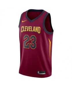 Баскетбольна форма Nike NBA Cleveland Cavaliers №23 Lebron James бордова