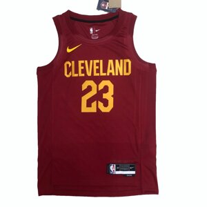 Баскетбольна джерси Nike NBA Cleveland Cavaliers №23 LeBron James Brown Print