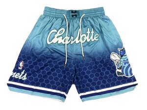 Шорти Charlotte Hornets Just Don blue