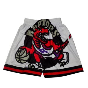 Шорти NBA Toronto Raptors Just Don white