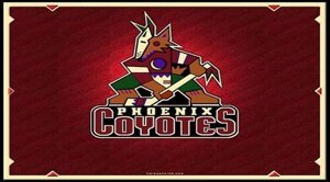 Толстовки NHL Arizona Coyotes black